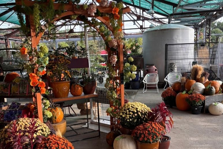 egm-fall-display
