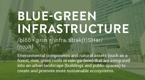 Environmental components and natural assets (such as a forest, river, green roofs or rain gardens) that are integrated into an urban landscape (buildings and public spaces) to create and promote more sustainable ecosystems.