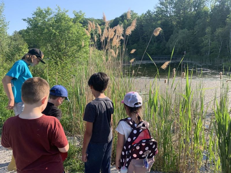 Childrens exploring Nature