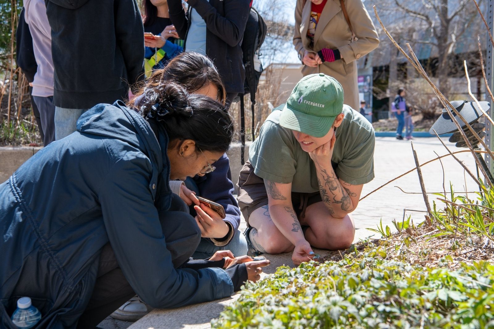 Several people gardening