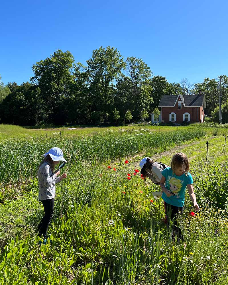 education-plantbased