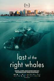 Last of the Right Whale poster