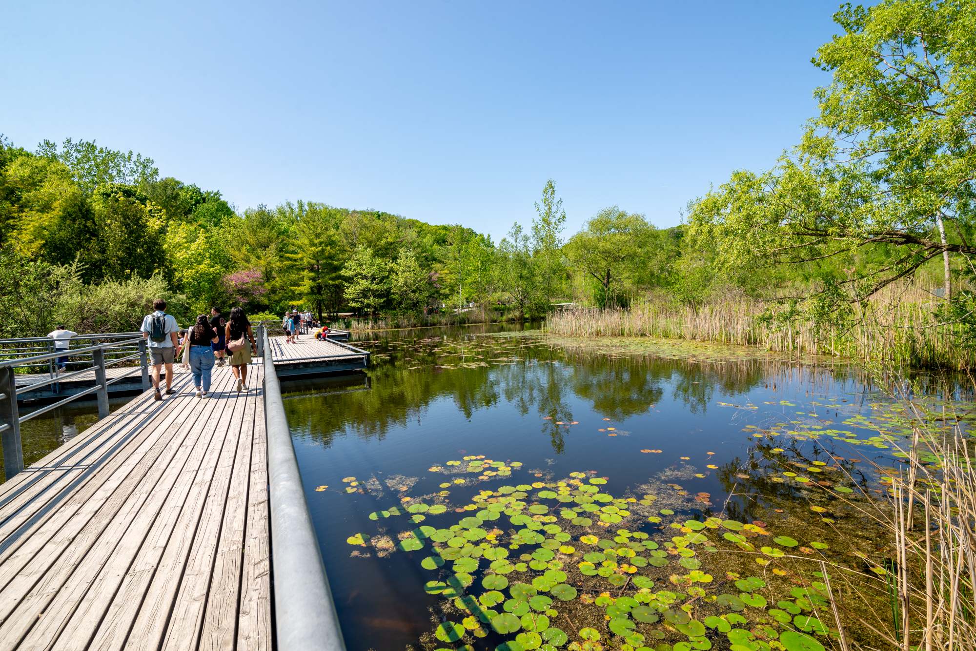 ebw_quarrybridges_alyoshiki_v_6_03_2024_58553-resized