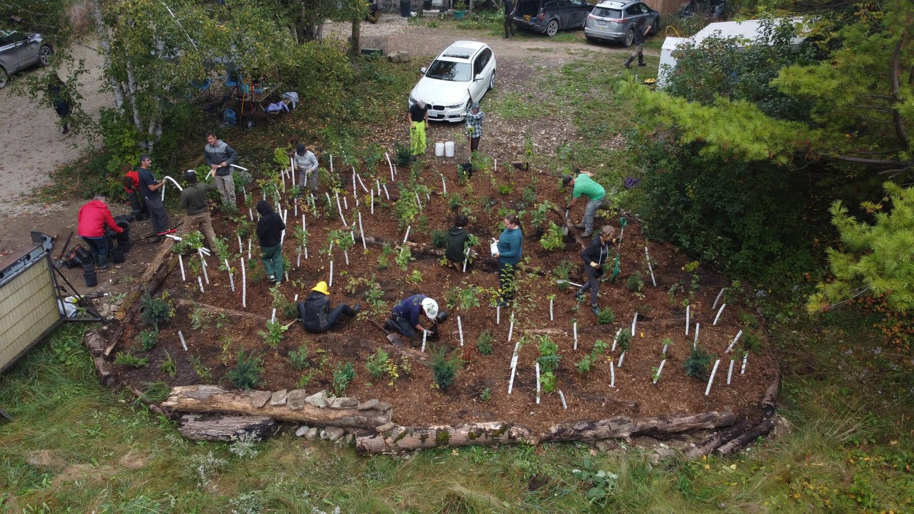 Mini forest planting in Neyaashiinigmiing (Bruce County), Ontario. Credit: Bagida'waad Alliance