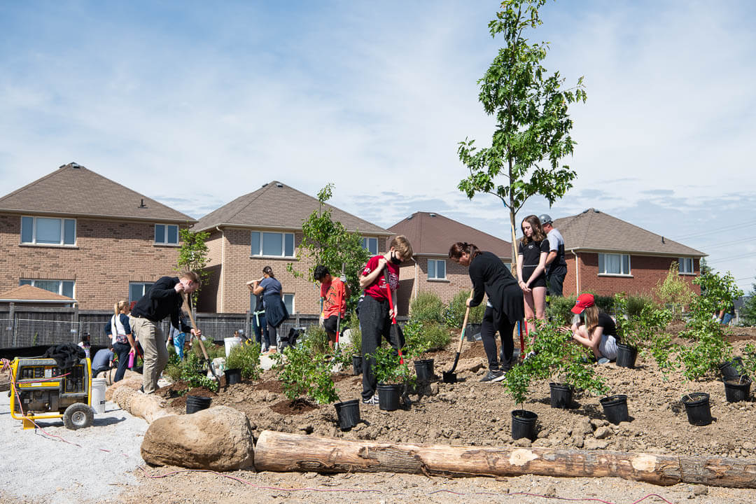 Kids help plant trees on a school ground
