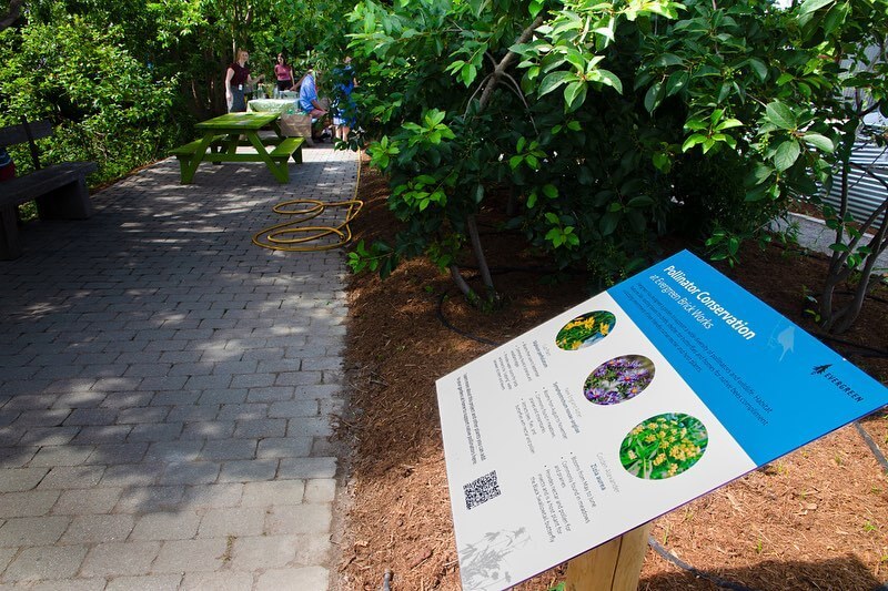 Community garden space with sign identifying space as a pollinator garden