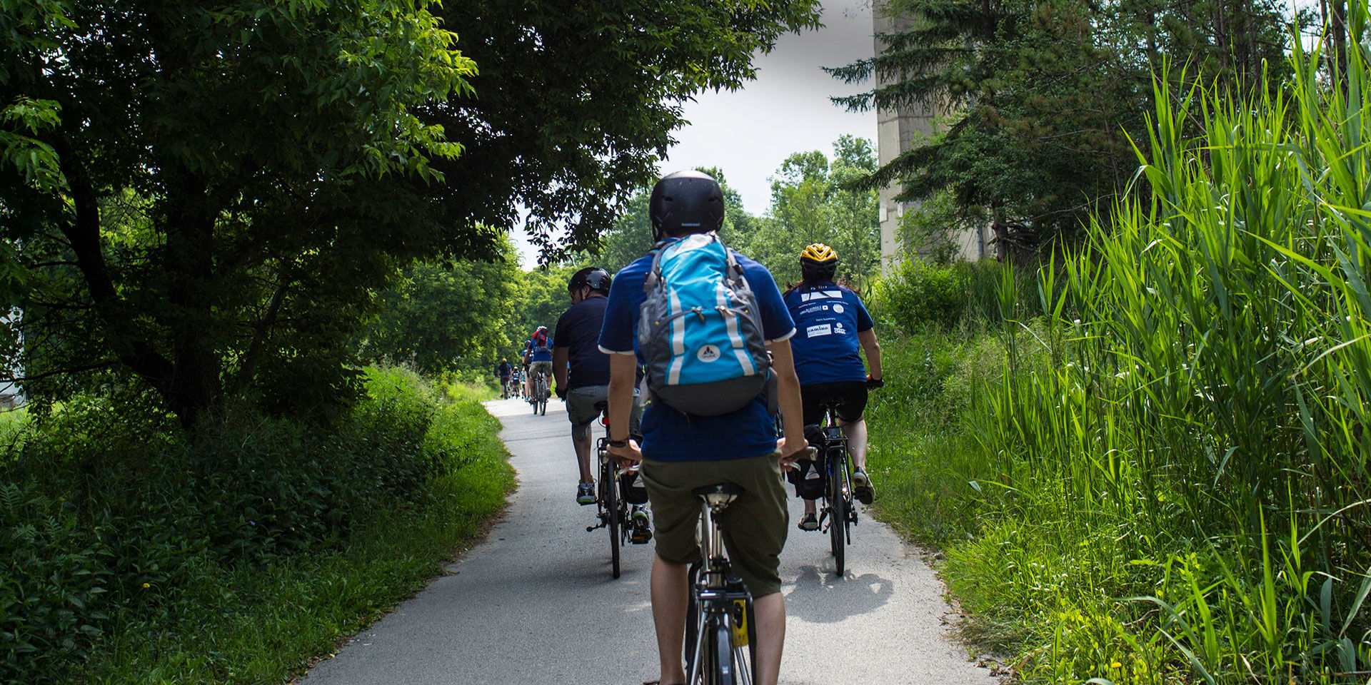 Group bikes along trail in summer 