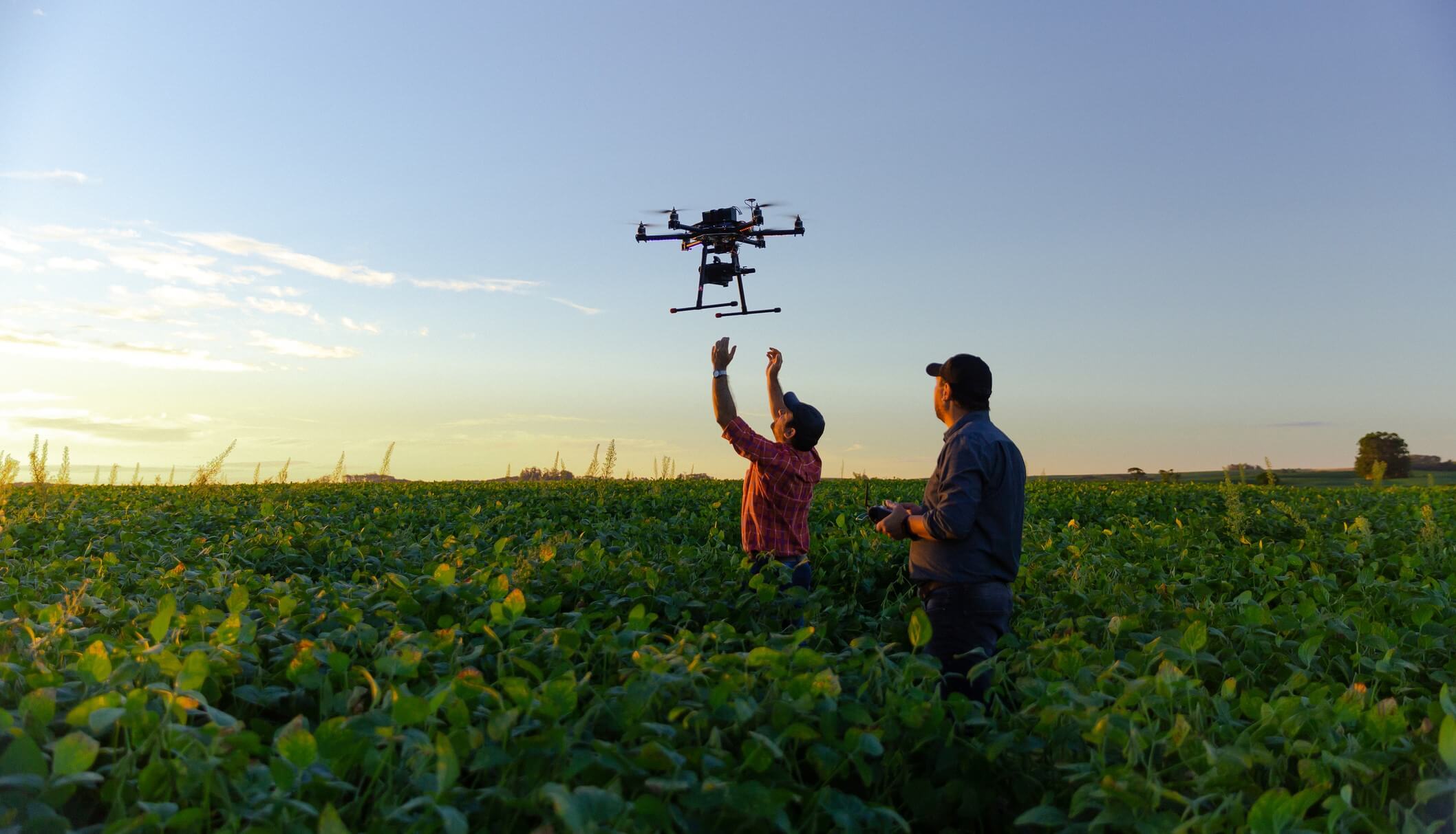 person operating drone in agricultural landscape